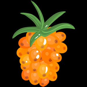 fruit014