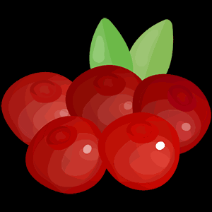 fruit025